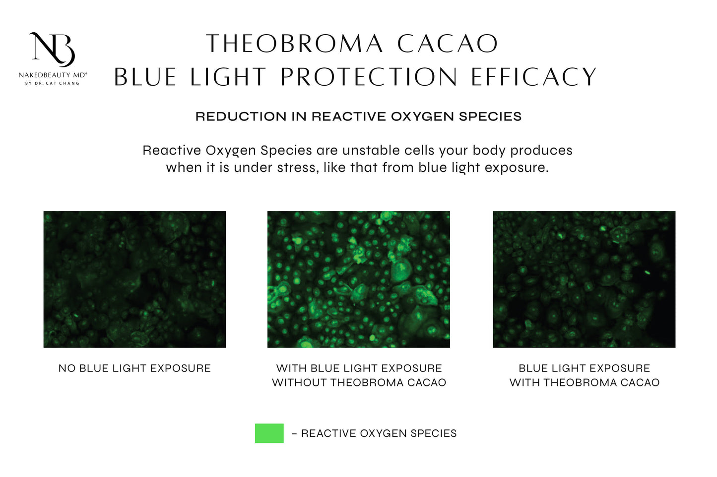 NAKEDBEAUTY MD™ ExoGlow Multi-Action Face Serum